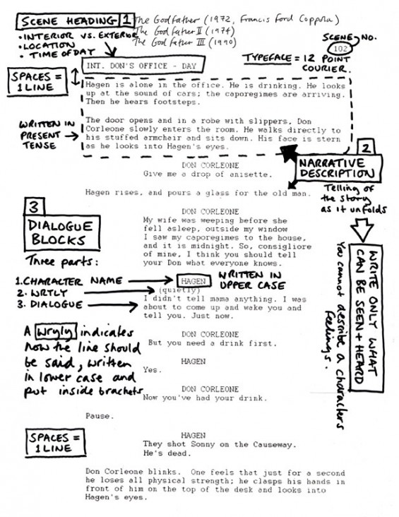 script format